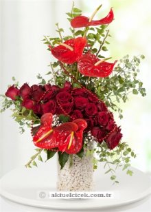 Adı Aşk Kırmızı Güller ve Antoryumlar